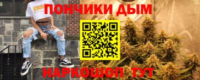 крисы Дубна