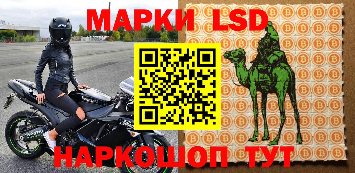 Евпатория  Наркотические марки 1,5мг  купить наркоту  Вход с VPN 