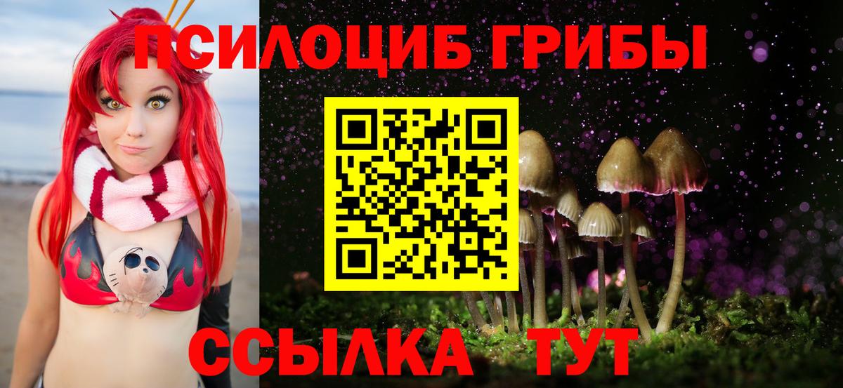 Псилоцибиновые грибы GOLDEN TEACHER Евпатория