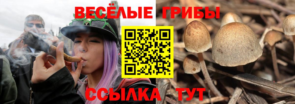 Евпатория  Псилоцибиновые грибы Magic Shrooms  Вход с VPN 